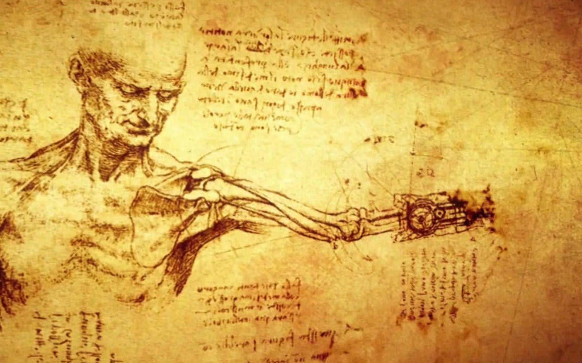 Curso Online Gratuito «Anatomía Humana» Hong Kong Polytechnic University Hong Kong