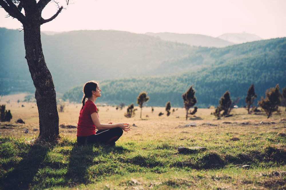 Curso Online: Curso Certificado de Mindfulness (Niveles I II III & Master)